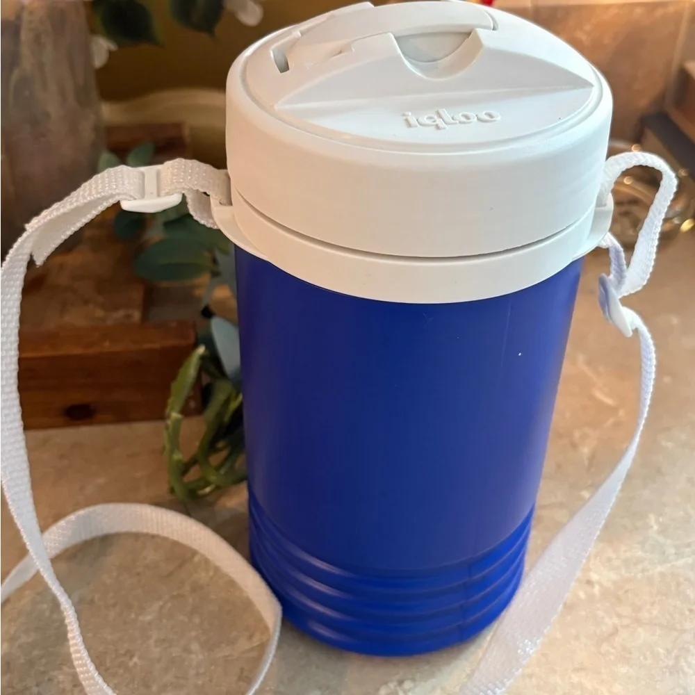 Igloo Blue and White Drinkware